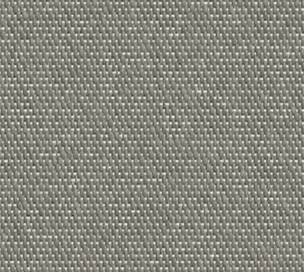 338 809 SILVER