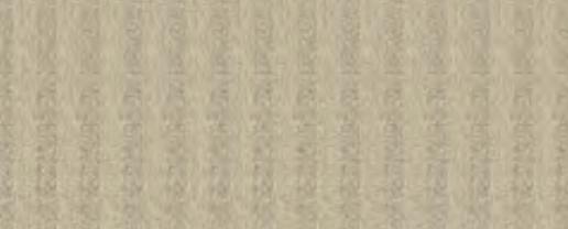 338 620 SAND 