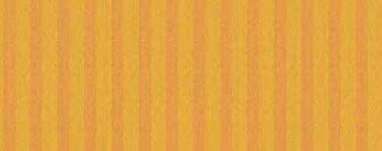 338 624 CORN 