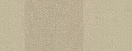 338 639 SAHARA
