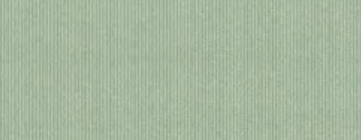 320 928 GRASSY