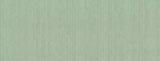 320 928 GRASSY