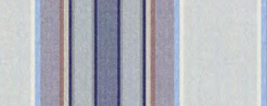 320 559 SEASHORE